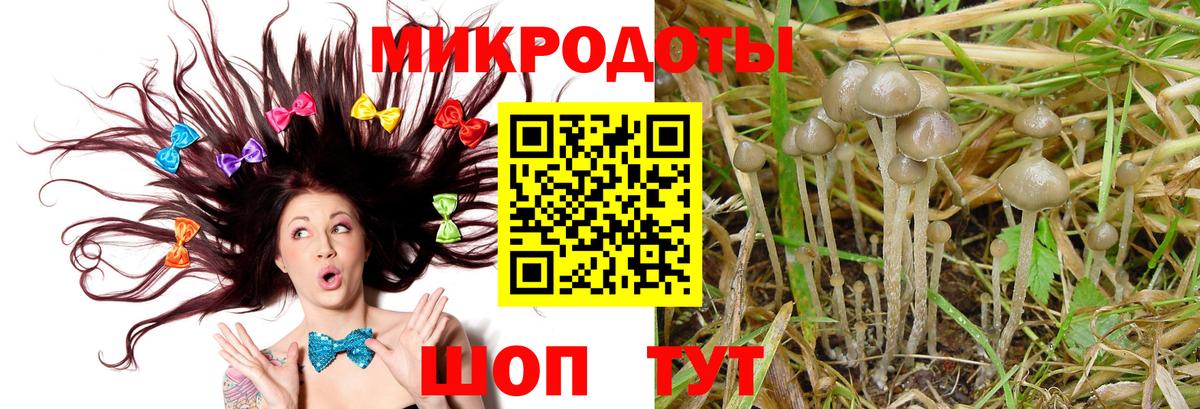 Артём  Псилоцибиновые грибы мицелий  как найти закладки  Галлюциногенные грибы Cubensis  Вход с VPN 